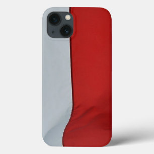 Bandeira Nacional da Capa de telefone Patriótica P