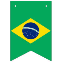 Bandeira nacional de Brasil, bandeira da estamenha