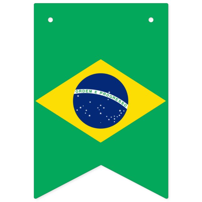 Bandeira nacional de Brasil, bandeira da estamenha (Primeira Bandeira)