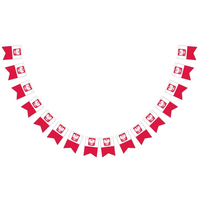 Bandeira polonesa (Todos)