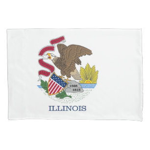Bandeira Solteiro Patriótica em Illinois, EUA
