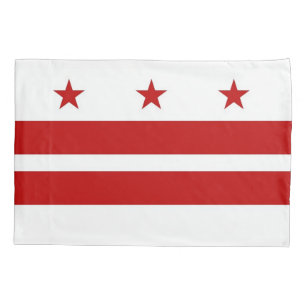 Bandeira Solteiro Patriótica em Washington DC