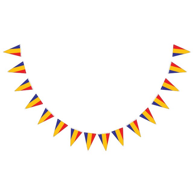 Bandeira tricolor do Partido da Celebração Romeno (Todos)