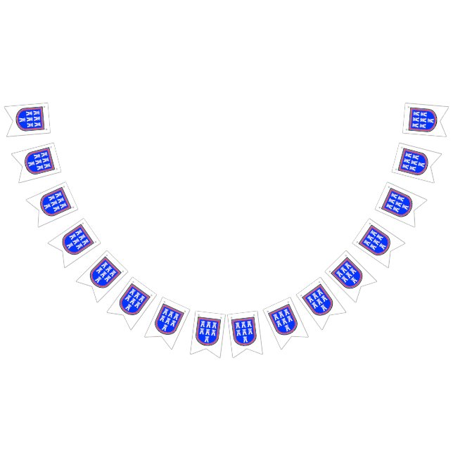 Bandeiras da Transilvânia (Todos)