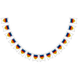 Bandeiras da Transilvânia