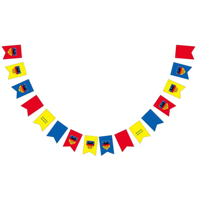 Bandeiras da Transilvânia (Todos)