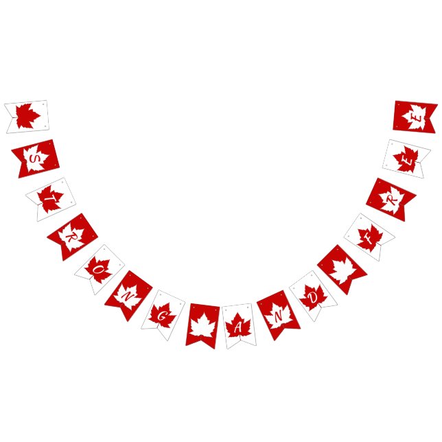 Bandeiras de Bunting do Canadá Decorações do Dia d (Todos)