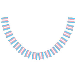 Bandeiras do Partido Transgênero Sinalizam Bandeir