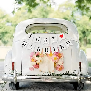 Bandeirinha Acabaram de Casar Decorações para o Carro de Despe
