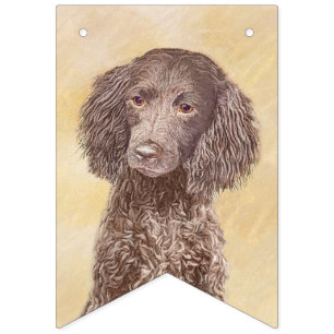 Bandeirinha American Water Spaniel Painting - Arte Original de