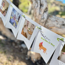 Banner de Bunting Fotográfico de 12 Meses do prime