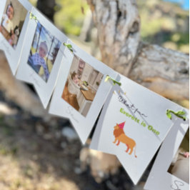 Bandeirinha Banner de Bunting Fotográfico de 12 Meses do prime