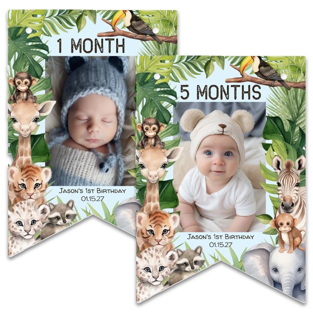 Bandeirinha Blue Wild One Safari Themed primeiro aniversario M (Blue Safari Animals, WIld One, Boy 1st birthday monthly photo banner. Birthday keepsake.)