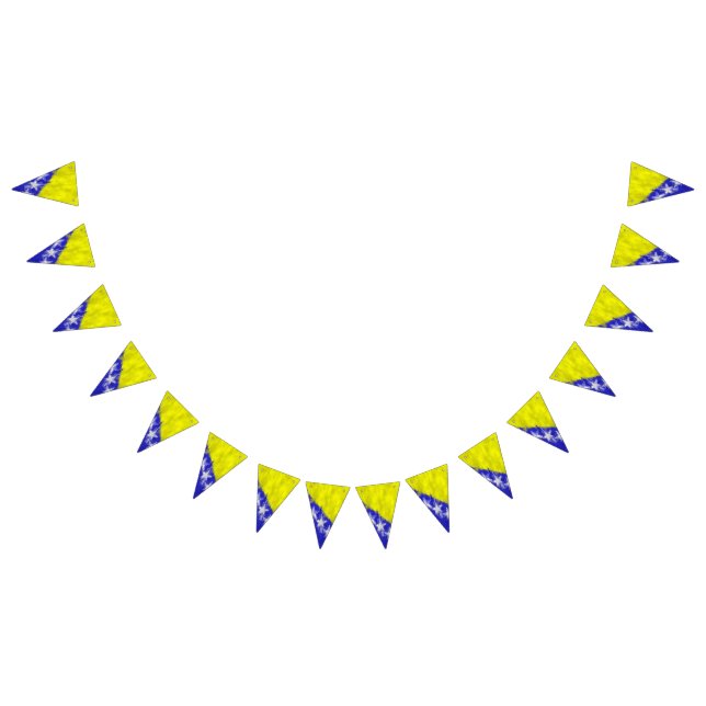 Bandeirinha Bosnia and Herzegovina Oil Painting Drawing (Todos)