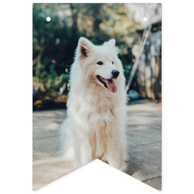 Bandeirinha Cão de estimação personalizado de bunting de fotos (Quinta Bandeira)