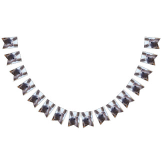 Bandeirinha Cinzas Cômicas Sorrindo Donkey