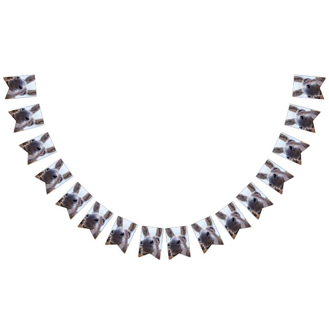 Bandeirinha Cinzas Cômicas Sorrindo Donkey (Todos)