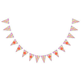 Bandeirinha Colorido, Pickleball Paddles, Laranja Picklebolas