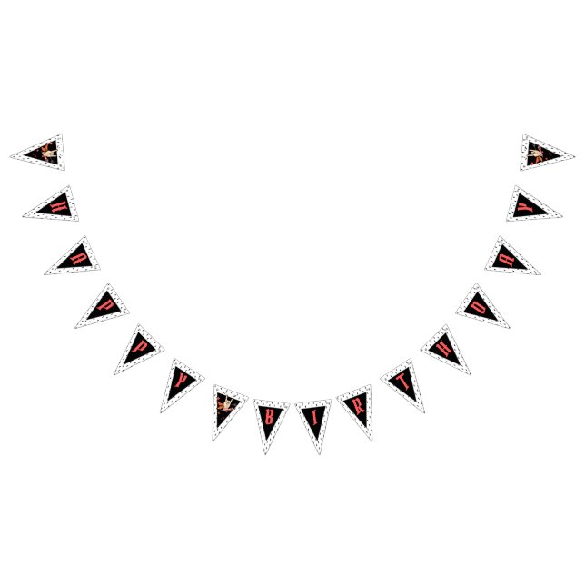 Bandeirinha Cool Punk Rockstar Birthday Bunting Flags (Todos)