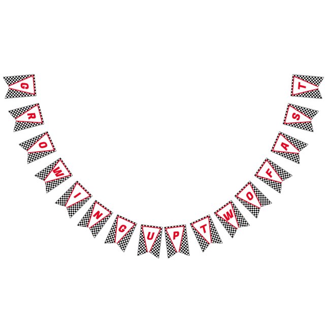 Bandeirinha Crescendo DOIS segundos aniversários Race Car Boy (Todos)