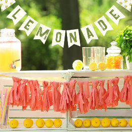 bandeirinha de festa