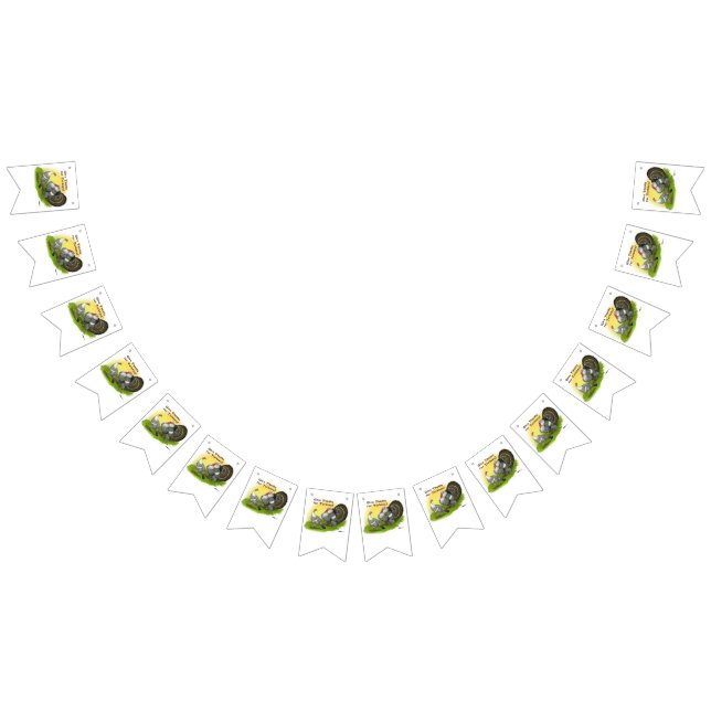 Bandeirinha Dê Obrigados Para Perus! (Todos)