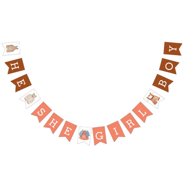 Bandeirinha Ela Menina Sexo Revela Coral Marrom (Todos)