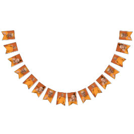 Bandeirinha Envie sua foto engraçada Selfie de festa 