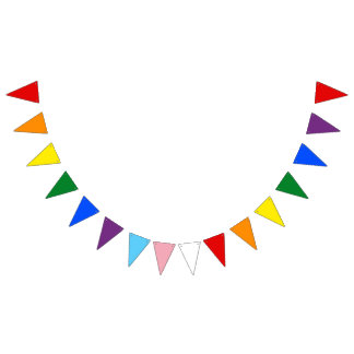 Bandeirinha Estandarte de Bunting de Orgulho Gay e Trans
