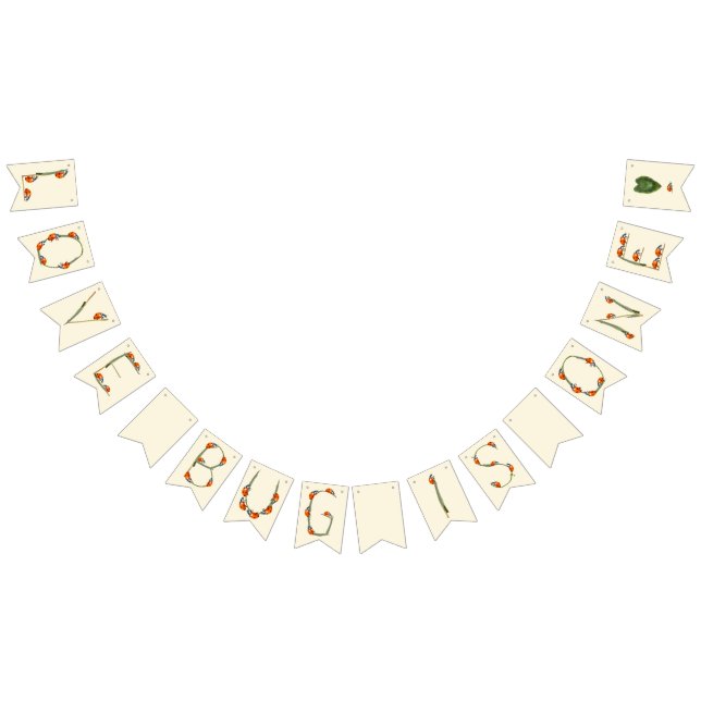 Bandeirinha Festa de aniversário Ladybug - primeiro aniversari (Todos)