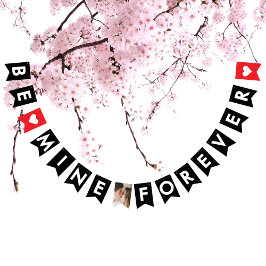 Bandeirinha Foto do Casal de Proposta do Casamento Vermelho Ro