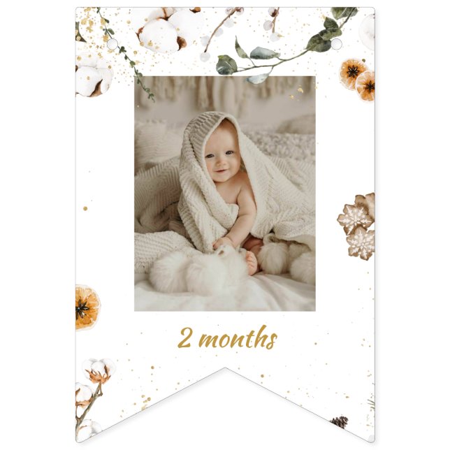 Bandeirinha Foto mensal de aniversário da Onderland de inverno (Terceira bandeira)