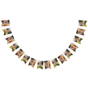Bandeirinha Foto Pet Personalizada