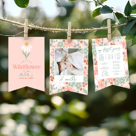 Bandeirinha Girls Cute Daisy 1st Birthday Milestone Photo