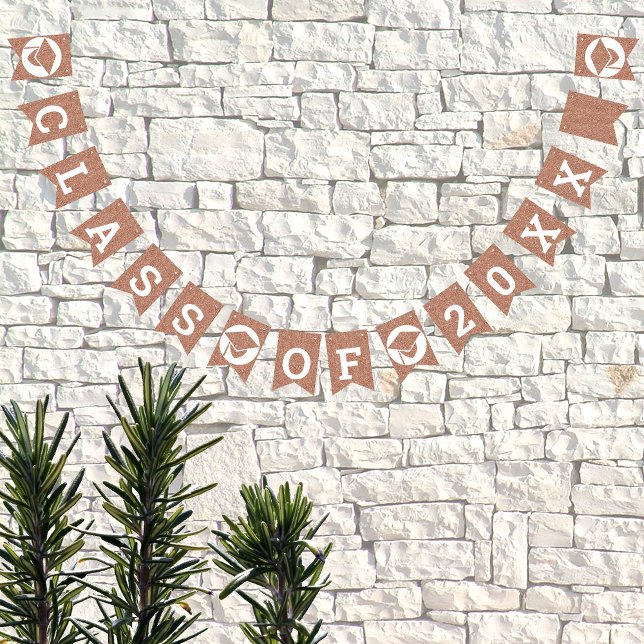 Bandeirinha Graduação Glam Rosa Crie A Sua Classe De (Criador carregado)