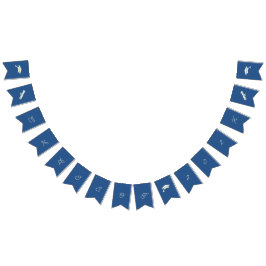 Bandeirinha Graduação Personalizável Simples E Azul