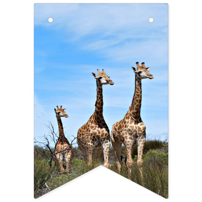 Bandeirinha Growing Tall Safari Banner (Primeira Bandeira)