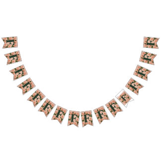 Bandeirinha Kit de banner de Bunting de Partido Personalizado