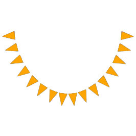 Bandeirinha Laranja Neon Cor Sólida | Clássico