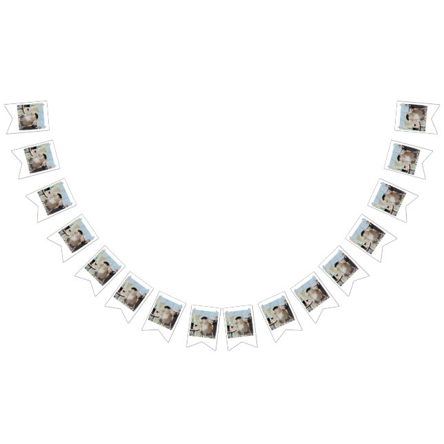 Bandeirinha Le Cat du Cafe (Todos)