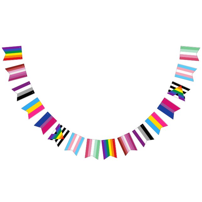 Bandeirinha LGBTQ Gay Lésbica Ace Pan Bi Ally Trans Abro Prim (Todos)