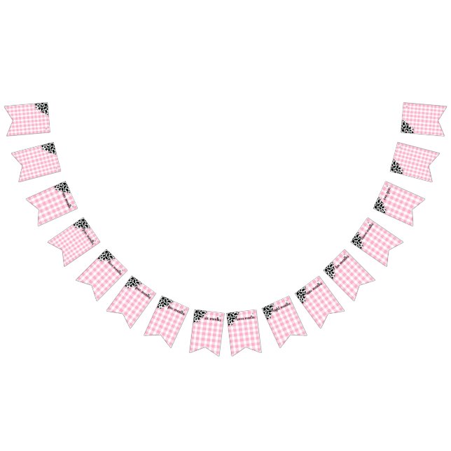 Bandeirinha Monthly Milestone Banner for First Birthday (Todos)