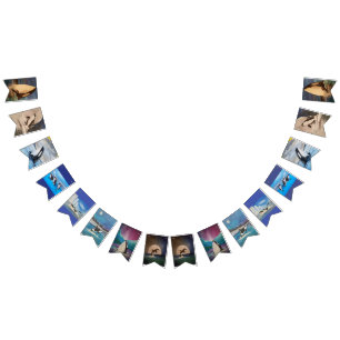 Bandeirinha Orca Bunting Banner