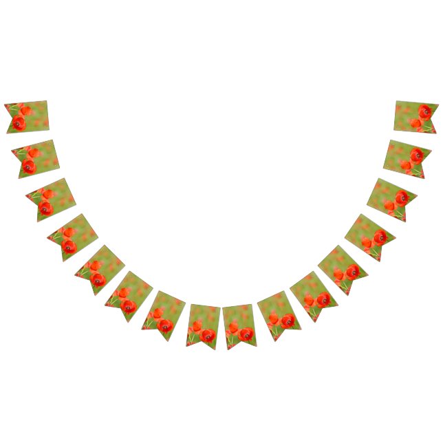 Bandeirinha Papoilas vibrantes em um campo da papoila (Todos)