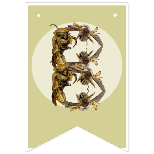 Bandeirinha Parabéns, Inseto de aniversário. | Faixa de inseto (Oitava Bandeira)