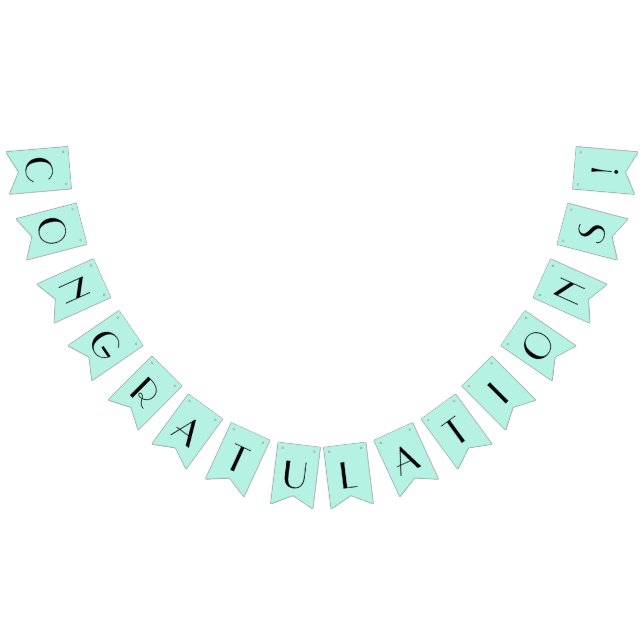 Bandeirinha Parabéns Mint (Todos)