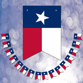 Bandeirinha Partido do Texas Flag, Banners de bunda/Casamentos