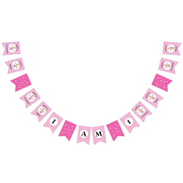 Bandeirinha Pequena Princesa Rosa Banner de Aniversário para E (Todos)