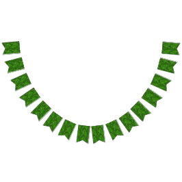 Bandeirinha Pine Forest