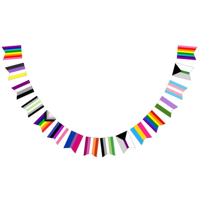 Bandeirinha Pride Flag Assortment Garland (Todos)